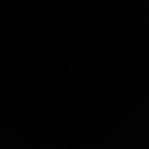 Meet your Posher, Beau