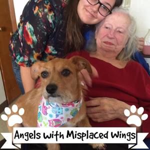 Meet your Posher, Sonia