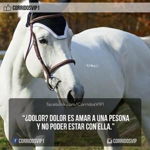 Meet your Posher, Mariana