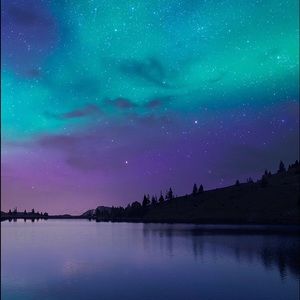 Meet your Posher, Lucy