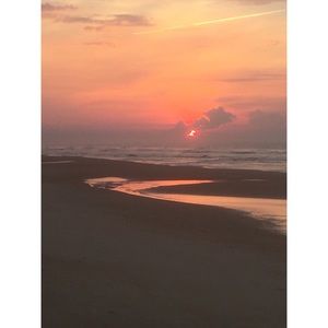 Meet your Posher, Savannah