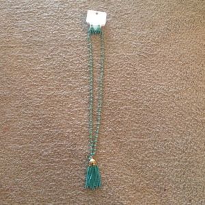 🚨🚨 SALE Turquoise long tassel necklace