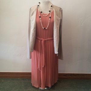 Pale Pink Pleated Dress NWTR Size 12