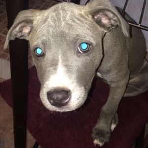 Meet your Posher, Ruby