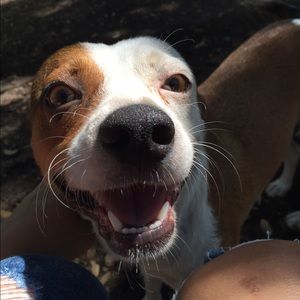 Meet your Posher, Shelby