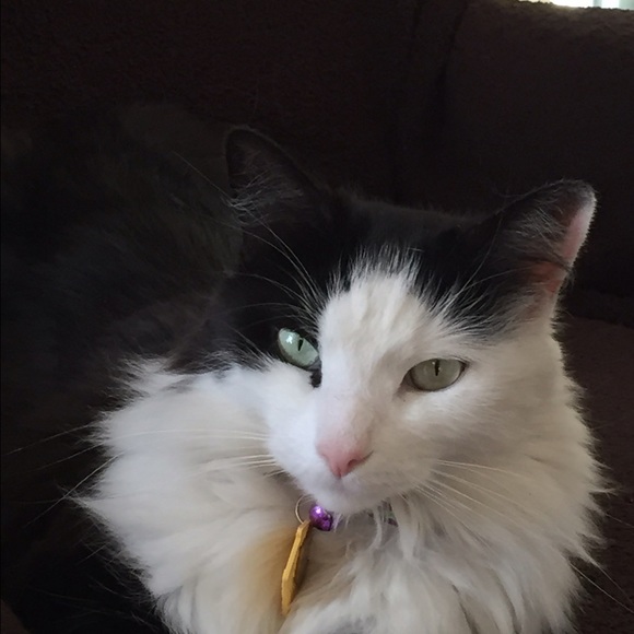 Meet your Posher, Ronna