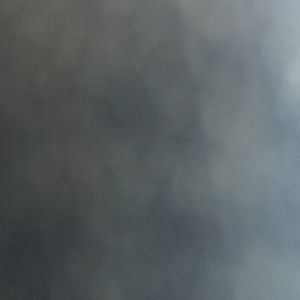 Meet your Posher, Brandy