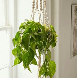 *REPOSH* urban outfitters macrame hanging planter