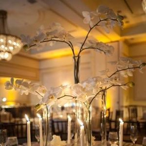 Meet your Posher, Blanca