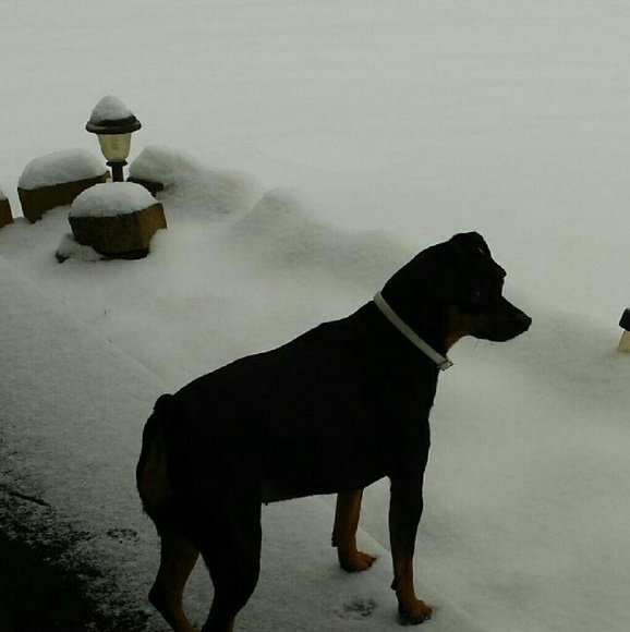 Meet your Posher, Karen