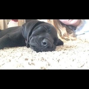 Meet your Posher, Jalynn