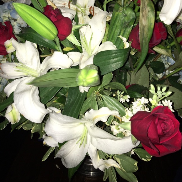 Meet your Posher, Caroline