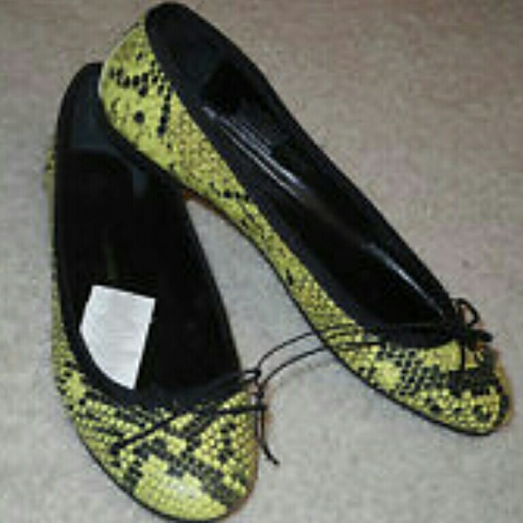 Gap green snake prints flat