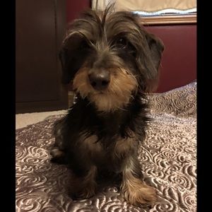 Meet your Posher, Staci