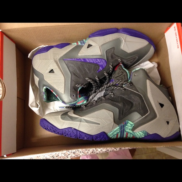 LeBron 11 terrocotta Warrior