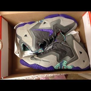 LeBron 11 terrocotta Warrior