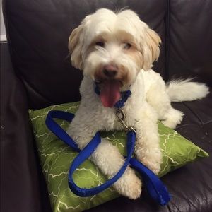 Meet your Posher, Marilin