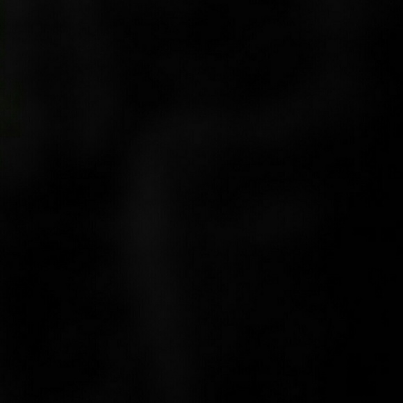 Meet your Posher, Taylor - Picture 1 of 1