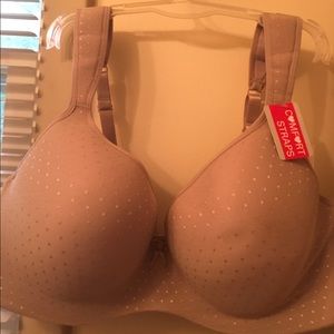 Izod 42DD bra