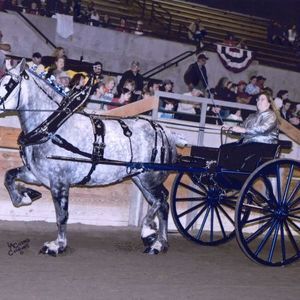 Meet your Posher, Chrissy