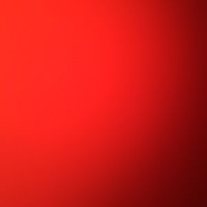 Meet your Posher, Elviz