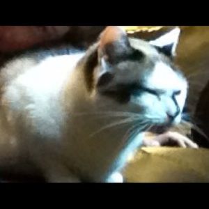 Meet your Posher, Vicki