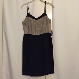NEVER worn RACHEL Rachel Roy Dress