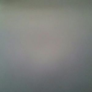 Meet your Posher, Janey