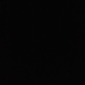 Meet your Posher, Molly