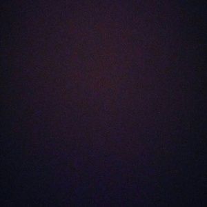 Meet your Posher, Curtis