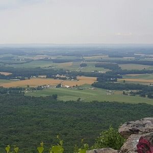 Meet your Posher, Marlene