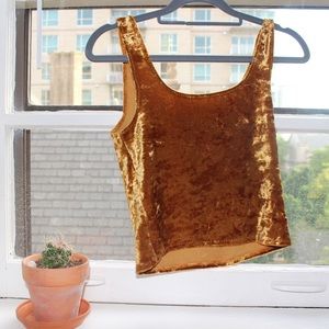 Golden crushed velvet crop top