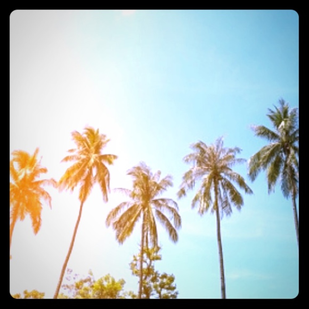 Meet your Posher, Bevin!