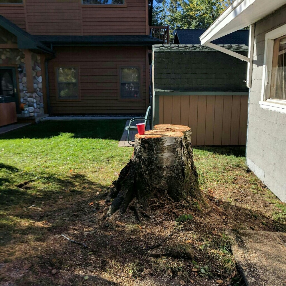 Meet your Posher, Reina