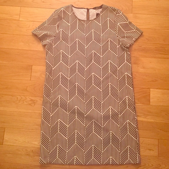 NWT! Zara black and white shift dress
