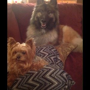 Meet your Posher, Cheryl