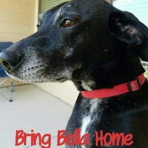 Meet your Posher, Lexi