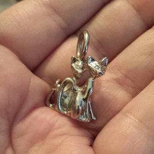 Siamese twin charm