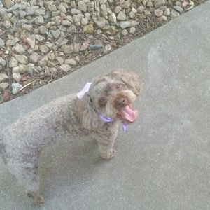 Meet your Posher, Alyson