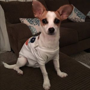 Meet your Posher, Abby