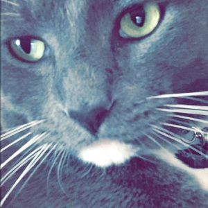 Meet your Posher, Clara