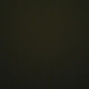 Meet your Posher, Rosa