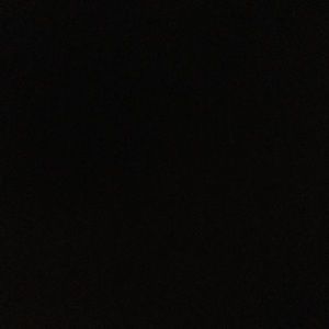 Meet your Posher, Zadie