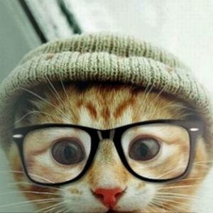 Meet your Posher, Joanna