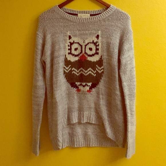 Soft gray owl sweater