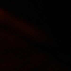 Meet your Posher, Mikayla