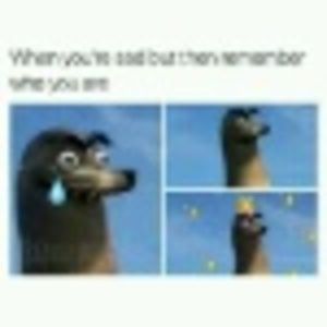 Meet your Posher, Catherine