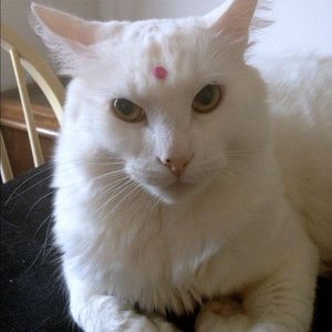 Meet your Posher, Alana