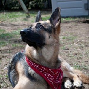 Meet your Posher, Patty