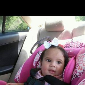 Meet your Posher, Pedro